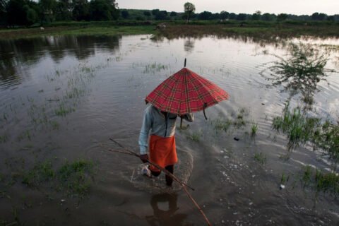 india-nature