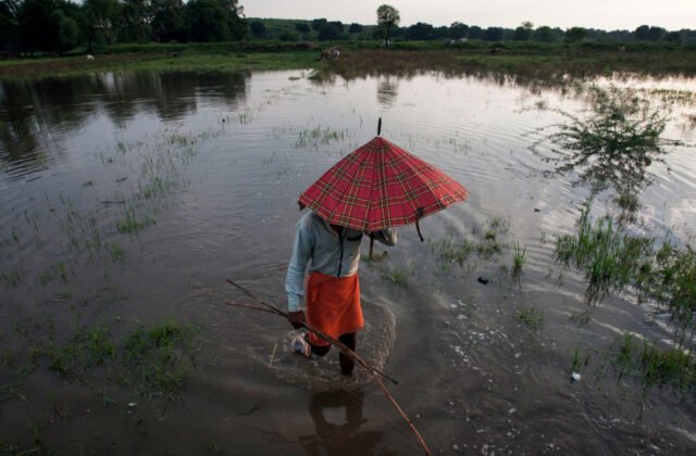 india-nature